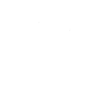 Rockall Vets Logo