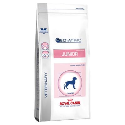 pediatric junior large dog