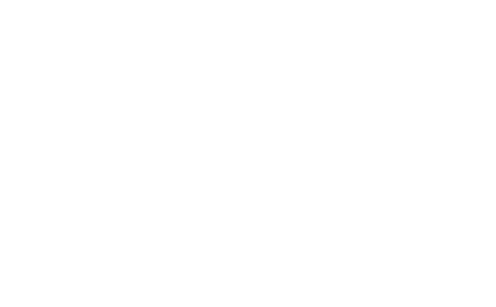 Rockhall Vets Clare Street Limerick
