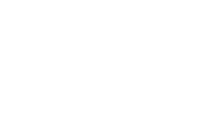 Rockhall Vets Henry Street