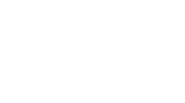 Rockhall Vets in Shannnon