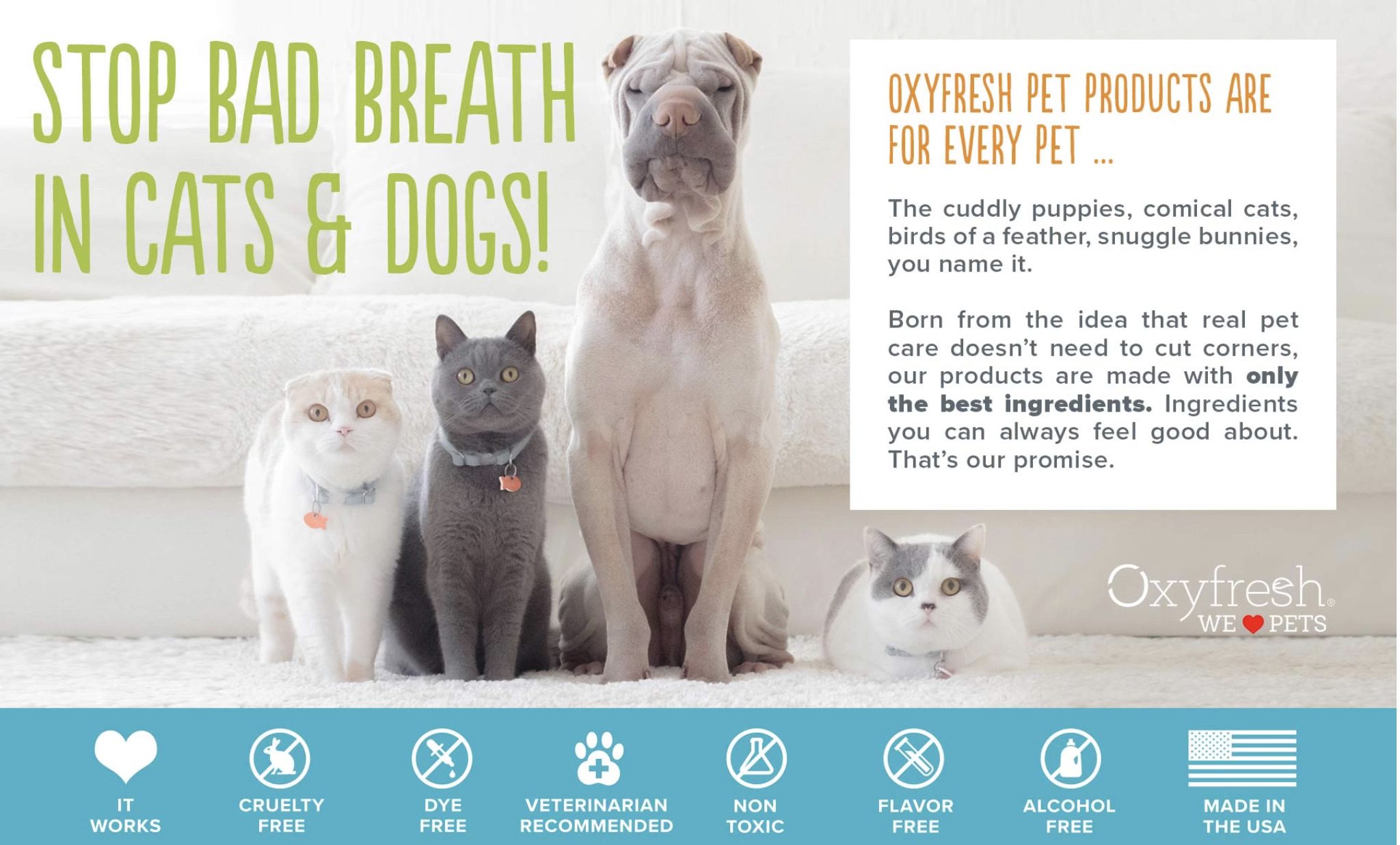 oxyfresh pet dental kit