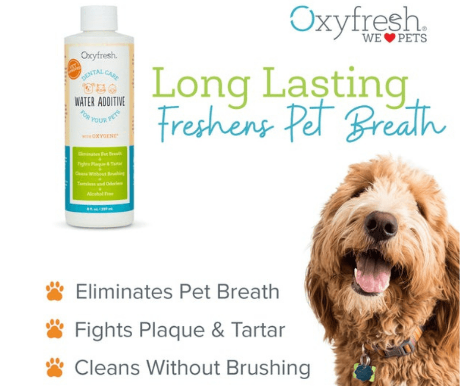 oxyfresh dog