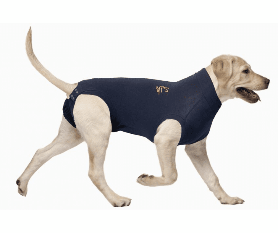 carpet odor eliminator